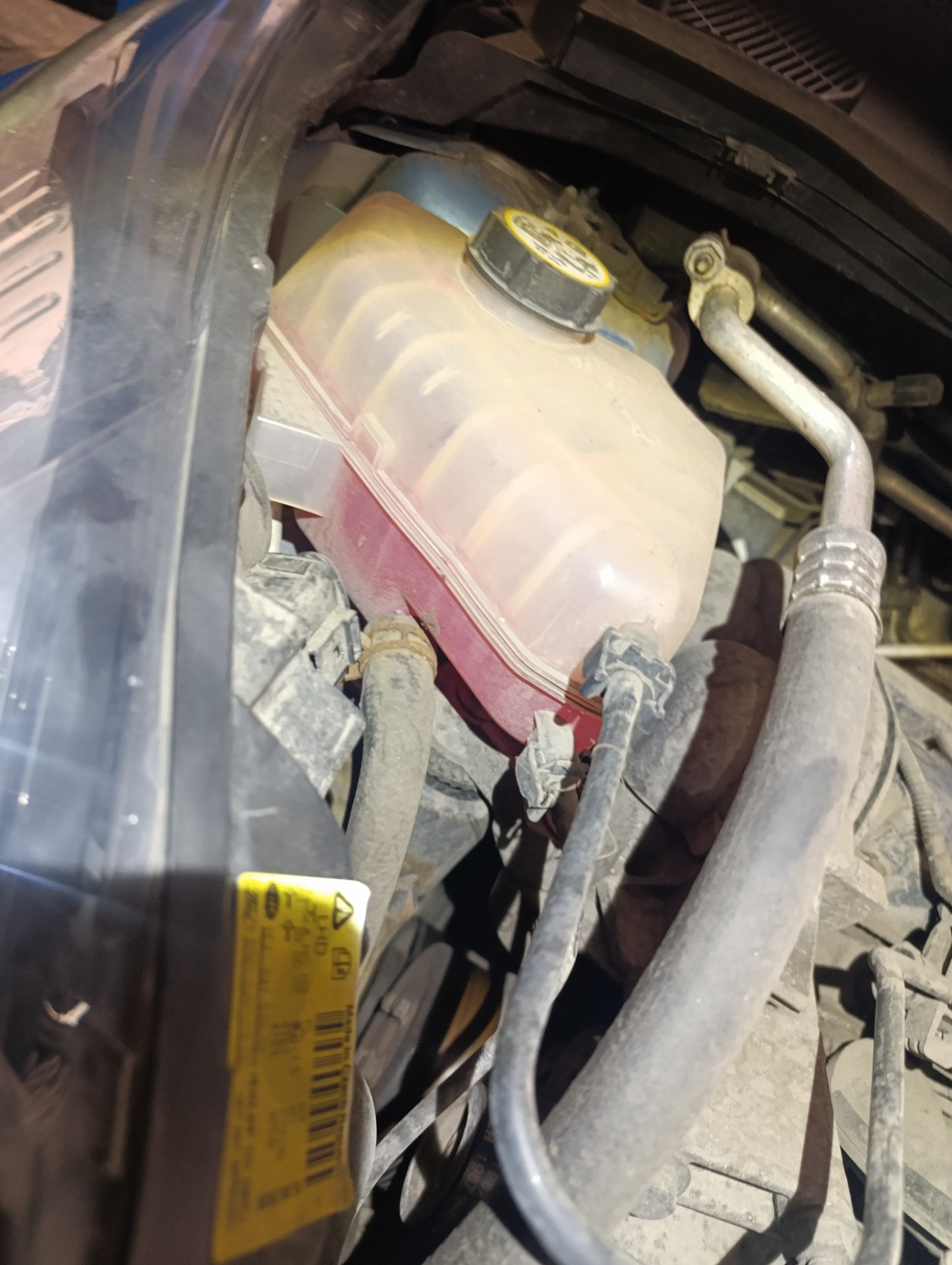 Poziom płynu chłodniczego - FORD FIESTA VI
