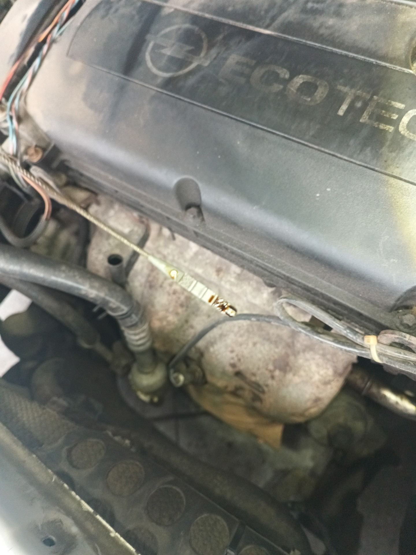 Poziom oleju silnikowego - OPEL VECTRA C Kombi