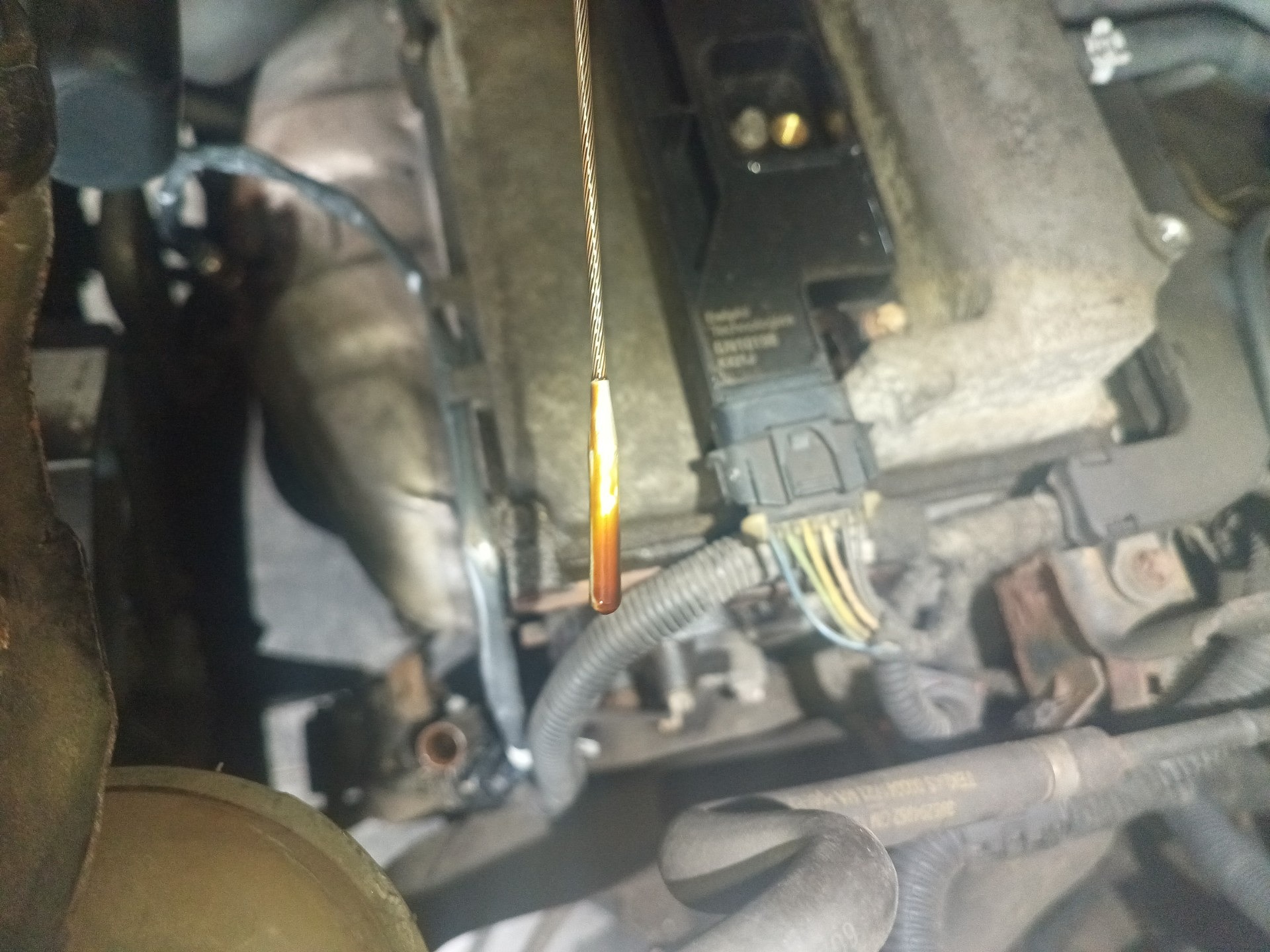 Poziom oleju silnikowego - OPEL MERIVA A nadwozie wielkoprzestrzenne