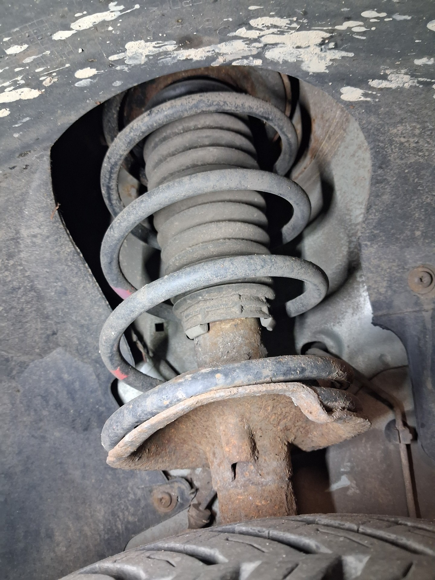 Stan sprężyn przedniej osi - FORD FOCUS I