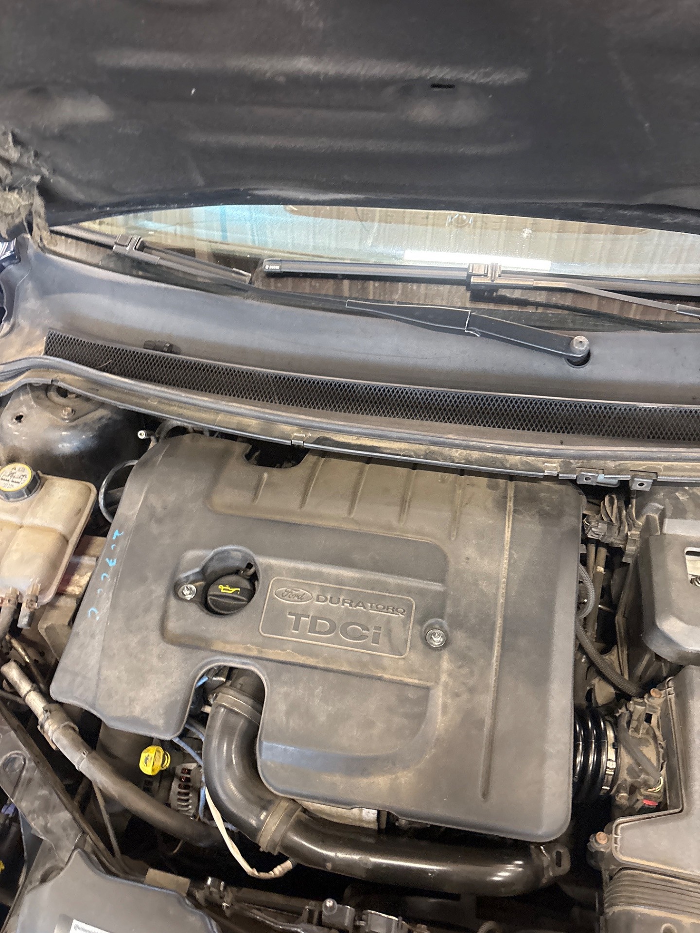 Informacja o wymianie oleju - FORD FOCUS II Turnier