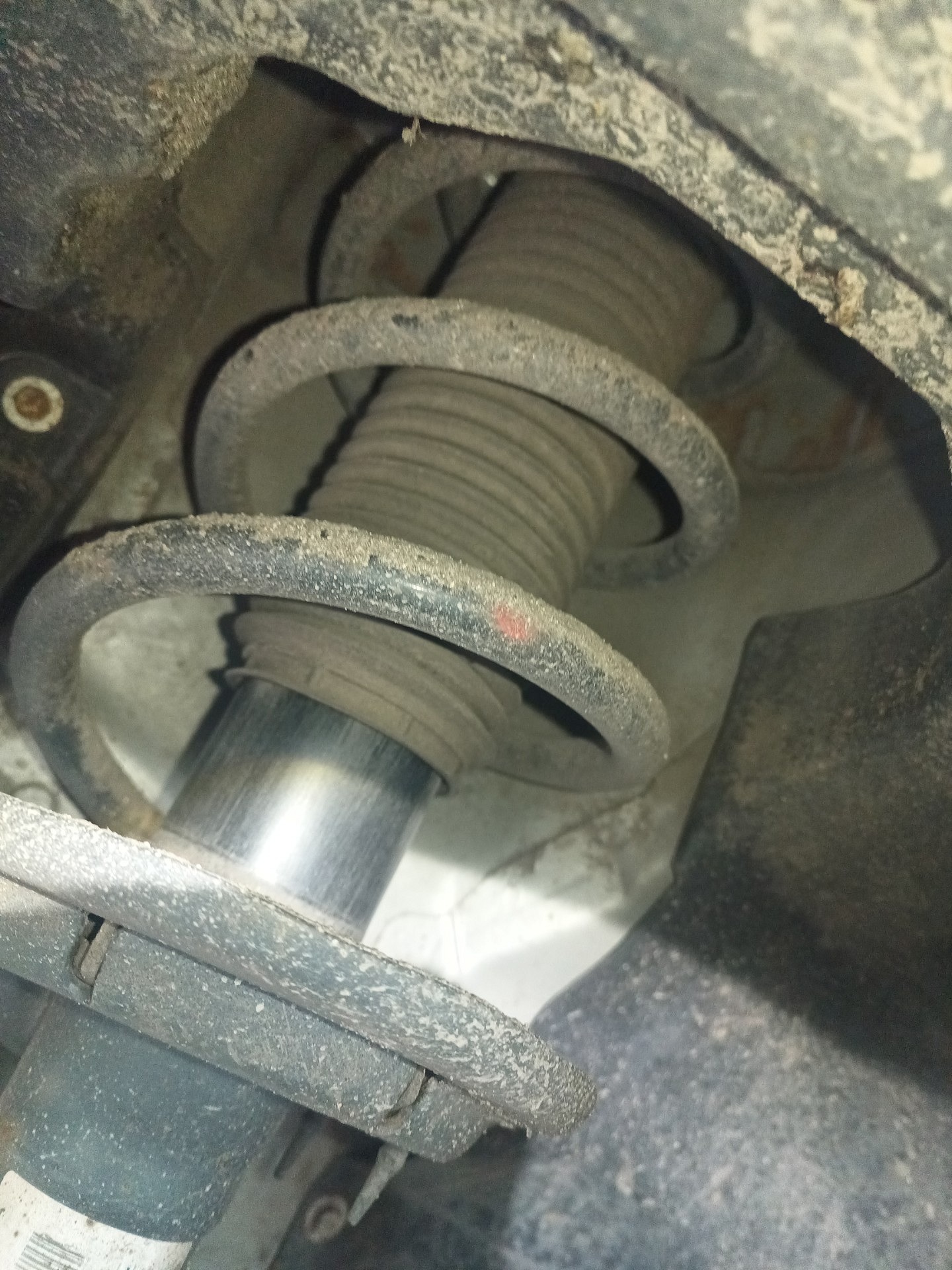 Sprężyny: przednia oś - FORD TRANSIT CUSTOM V362 Furgon
