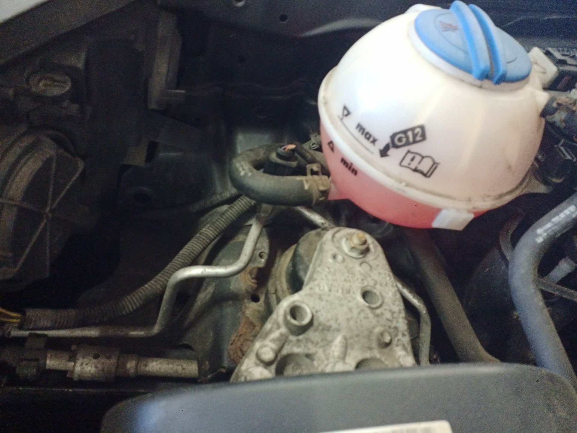 Poziom płynu chłodniczego - VW POLO IV