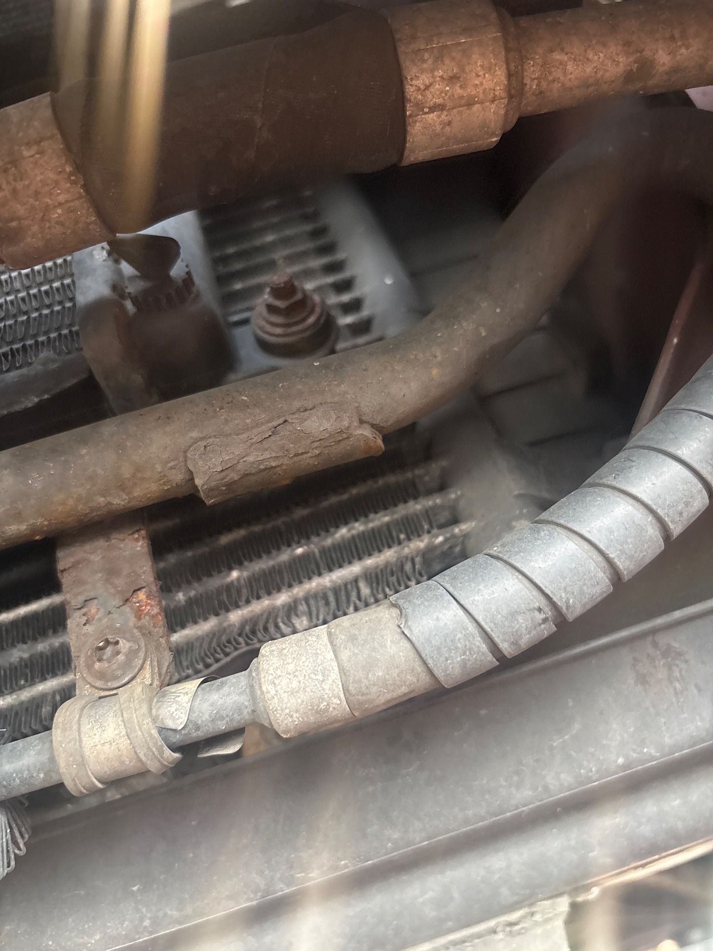 Stan chłodnicy układu chłodzenia - JAGUAR XK 8 coupe