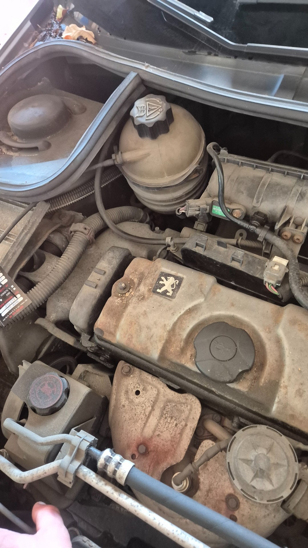 Informacja o wymianie rozrządu - PEUGEOT 206 SW