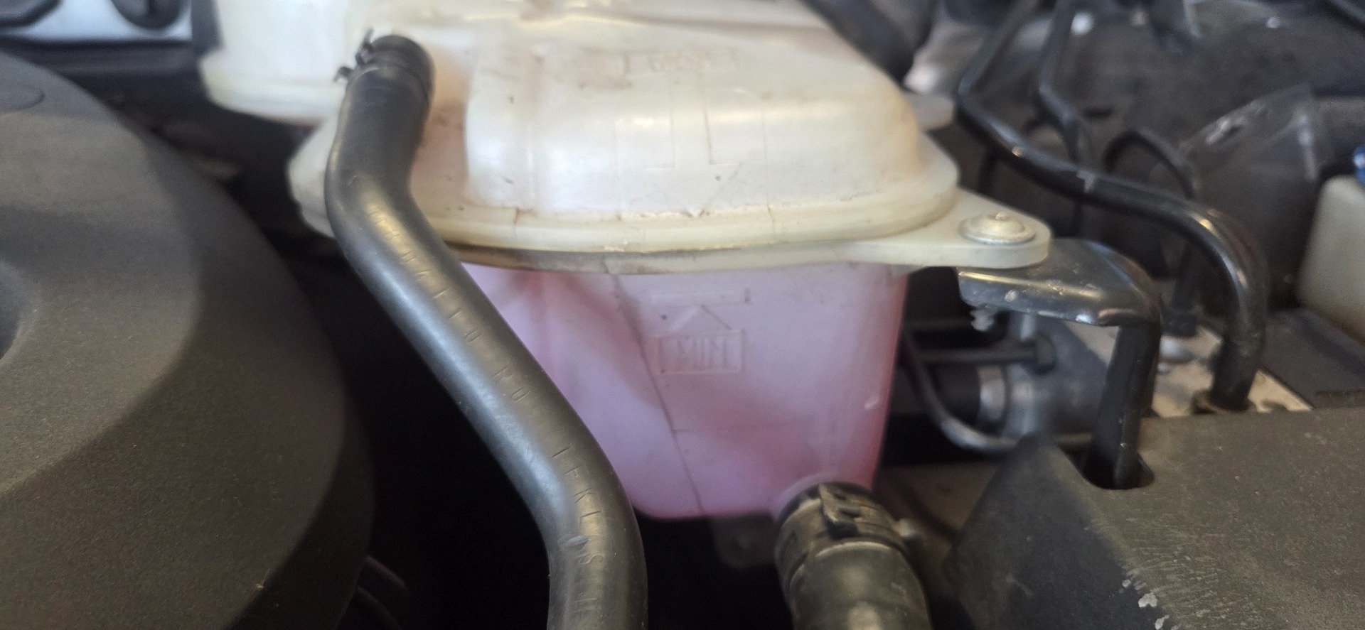 Poziom płynu chłodniczego - VW PASSAT B5.5
