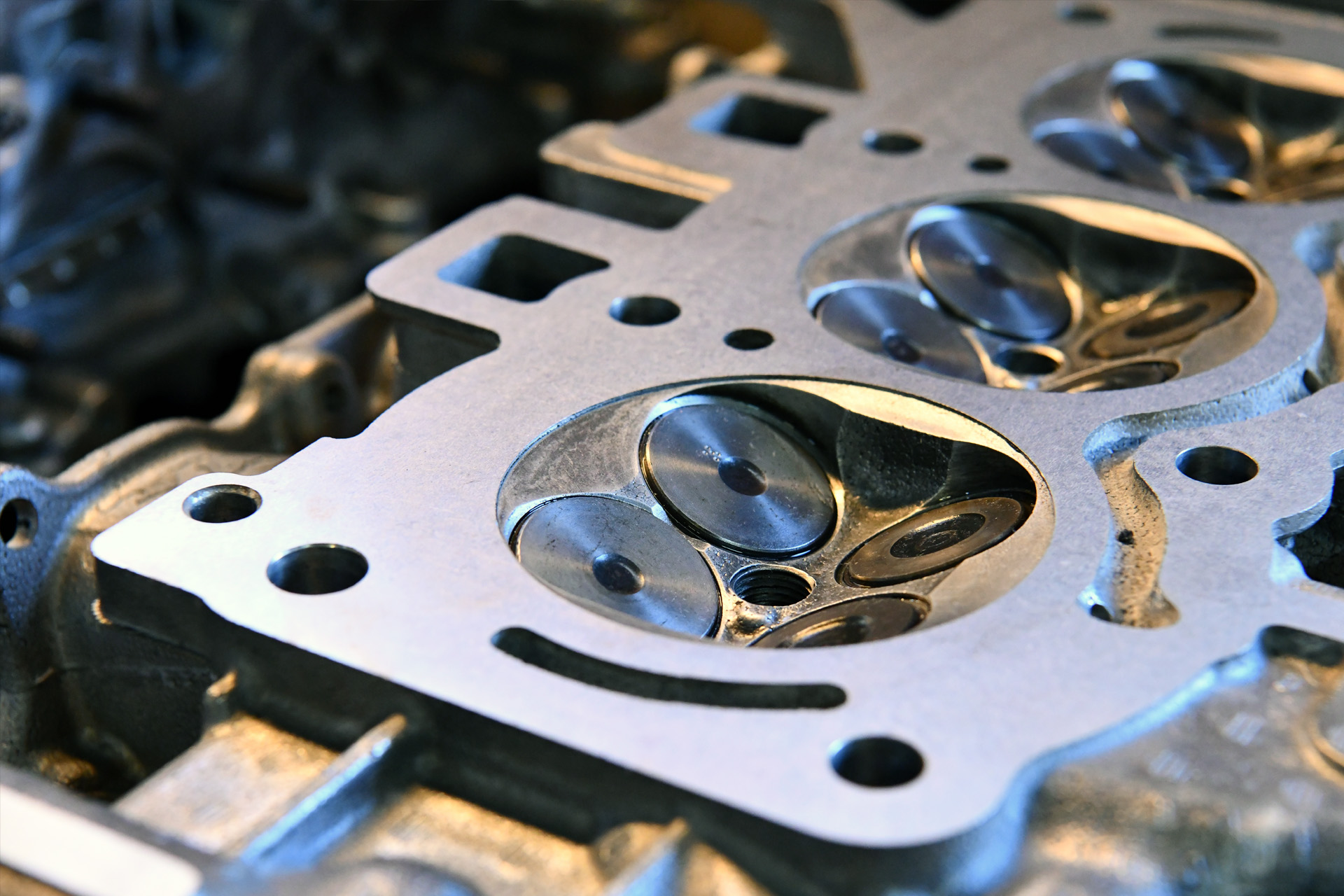 post-cactus-1 » motoer.pl